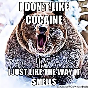 cocaine-bear-meme