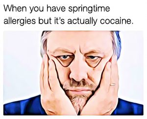 cocaine-memes (2)